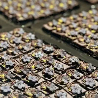 تشریفات یاس