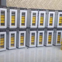 دستگاه صـادراتی جوجه کشی،»hdayt