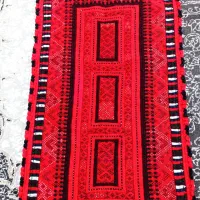 زیاستین جوکی