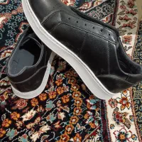 کفش مردانه|کیف، کفش، کمربند|فلاورجان, |دیوار