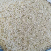 برنج سرلاشه و لاشه هاشمی و نیمدانه ممان میانه عطری|خوردنی و آشامیدنی|زنجان, |دیوار