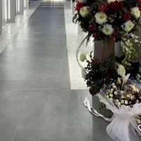اجاره تمام لاین ها
