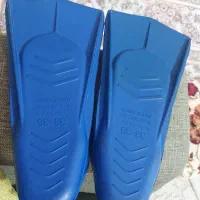 فین شنا میسیسیپی