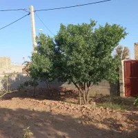 زمین-چهار-دیواری