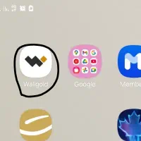 پول با دعوت