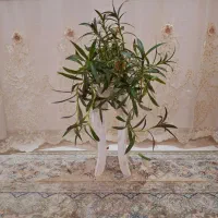 گل طبیعی|گل مصنوعی|نورآباد, |دیوار