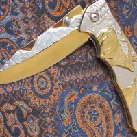 چاقو گوزنی|کلکسیون اشیاء عتیقه|رفسنجان, |دیوار