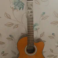 گیتار اصل پائوچیا|گیتار، بیس، امپلیفایر|تبریز, |دیوار