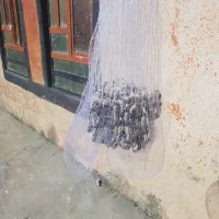 تورپرتابی|ماهیگیری|یاسوج, |دیوار