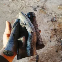 فروش ذغال|عمده‌فروشی|تخت سلیمان, |دیوار