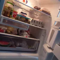 یخچال نیم ساید اسنوا|یخچال و فریزر|کرج, کمال‌شهر|دیوار