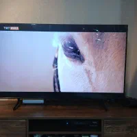 تلویزیون QLED سامسونگ 50 اینچ|تلویزیون و پروژکتور|فردیس, منظریه|دیوار