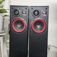 باند سروین وگا امریکا