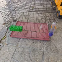 قفس پرنده با آبخوری و دانه خوری وکله