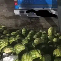 حمل بار با نیسان 24ساعته در اسرع وقت ب تمام نقاط|خدمات حمل و نقل|بیرجند, |دیوار