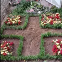 خدمات باغبانی باغچه کاری تعویضی خاک گلدون کاشت گل|خدمات باغبانی و درختکاری|تهران, اکباتان|دیوار