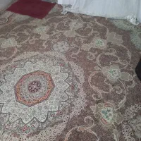 قالی ۱۲ متری