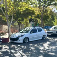 207تیو تری فول لوازم|خودرو سواری و وانت|دیواندره, |دیوار