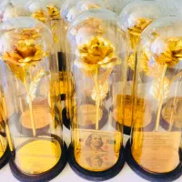 کادو گل و کارت طلایی|گل مصنوعی|شیراز, معالی‌آباد|دیوار