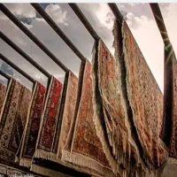 قالیشویی الماس|لوازم نظافت|کلاله, |دیوار