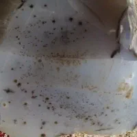 سنگ