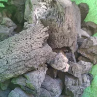 زغال درجه یک کبابی قلیونی|عمدهفروشی|خمینیشهر, |دیوار