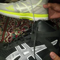 کفش کشتی و والیبال|کیف، کفش، کمربند|یاسوج, |دیوار