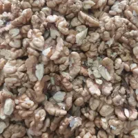 مغز گردو|خوردنی و آشامیدنی|گرمسار, |دیوار