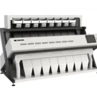 سورتینگ مئیر