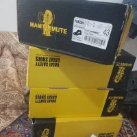 کفش کار