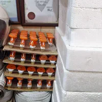 فروش کپسول اتش نشانی شارژ کپسول آتش نشانی|عمدهفروشی|شیراز, بالا کفت|دیوار