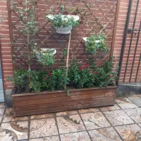 خدمات باغبانی باغچه کاری گل کاری تمام نقاط تهران|خدمات باغبانی و درختکاری|تهران, کامرانیه|دیوار