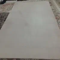 موکت