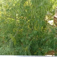 720-متر-ویلا-کنتور-برق-آبسرد-دماوند