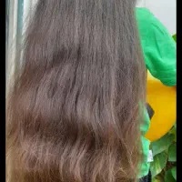 مرکز تخصصی گیس ها