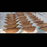 سنتور کلاسیک (غیر سنتی)|سازهای سنتی|شیراز, سینما سعدی|دیوار