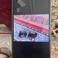 دو عدد دسته بازی