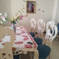 میر ناهار خور تنها بفروش میرسد