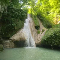 تور یک روزه جنگل