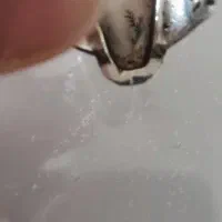 شجر قائن بسیار زیبا|جواهرات|ملایر, |دیوار