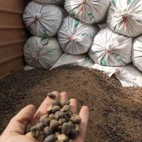 کود گوسفندی درجه یک کاملا خشک|خدمات باغبانی و درختکاری|طالقان, |دیوار