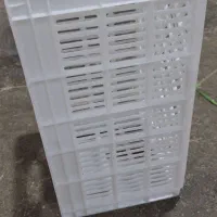 فروش سبد ۲۰ کیلویی|ظروف نگهدارنده، پلاستیکی، یکبارمصرف|بابل, |دیوار