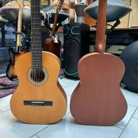 گیتار پارسی m2