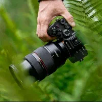 فیلمبرداری و عکاسی نوعی