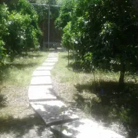 فروش باغ|فروش خانه و ویلا|زرگرشهر, |دیوار