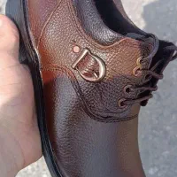 چرم حیوانی تبریز|کیف، کفش، کمربند|دیواندره, |دیوار