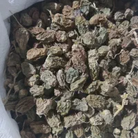 غذای دام