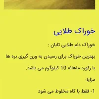 کنسانتره جهت گاوداری ودامداری بدون استفاده ازیونجه