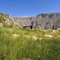 فروش-باغ-600-متری