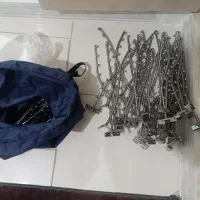 رگال تیله ای
